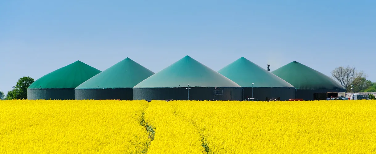 Xử lý khí sinh học